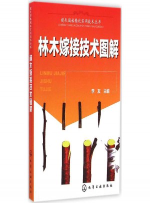 林木嫁接技术图解
