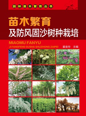 苗木繁育及防风固沙树种栽培