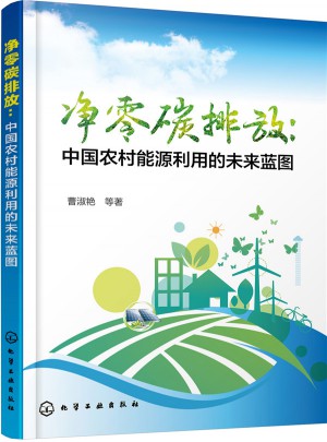净零碳排放：中国农村能源利用的未来蓝图