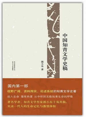 中国知青文学史稿