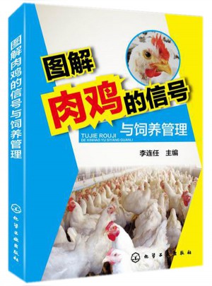 图解肉鸡的信号与饲养管理