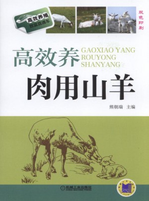 高效养肉用山羊