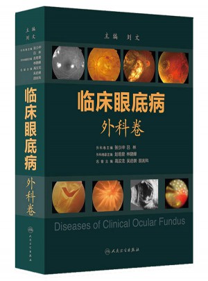 临床眼底病：外科卷