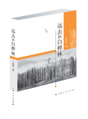 远去的白桦林