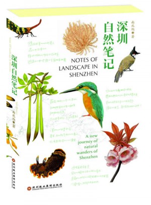 深圳自然笔记