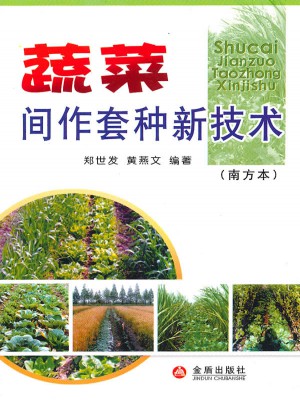 蔬菜间作套种新技术