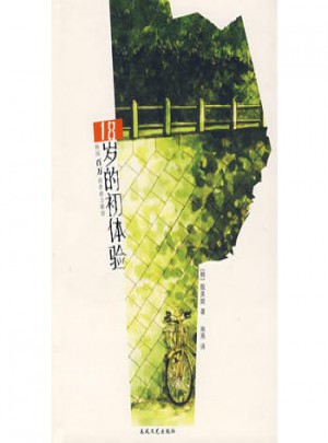 18岁初体验图书