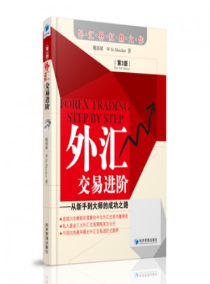 外汇交易进阶(第三版)