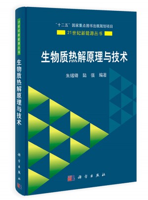生物质热解原理与技术