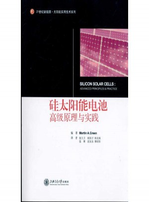 硅太阳能电池:高级原理与实践