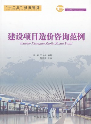建设项目造价咨询范例