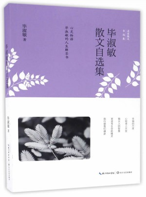 毕淑敏散文自选集