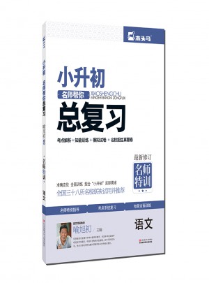 小升初名师帮你总复习·语文