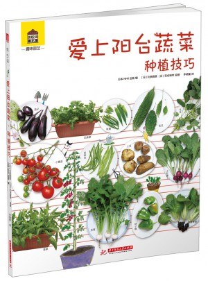 爱上阳台蔬菜 种植技巧