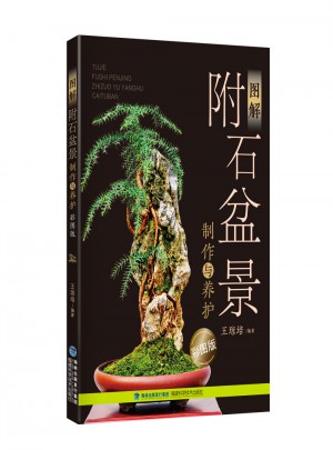图解附石盆景制作与养护（彩图版）