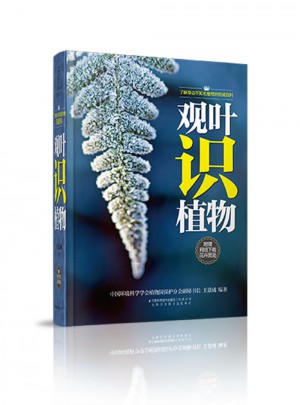 观叶识植物（汉竹）