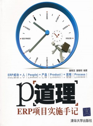 P道理：ERP项目实施手记