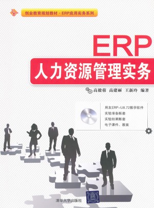 ERP人力资源管理实务图书