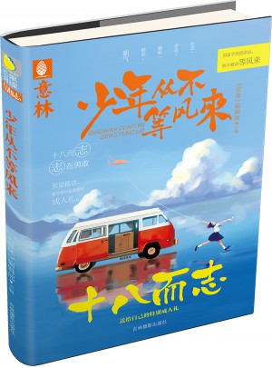意林：少年从不等风来图书