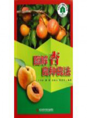 图解杏良种良法：果树科学种植大讲堂