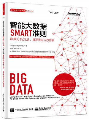 智能大数据SMART准则：数据分析方法、案例和行动纲领