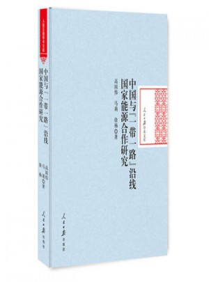 中国与一带一路 沿线国家能源合作研究