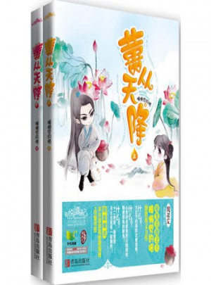 囍从天降(上下册)