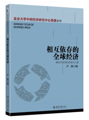 相互依存的全球经济：探究开放型经济成长之道