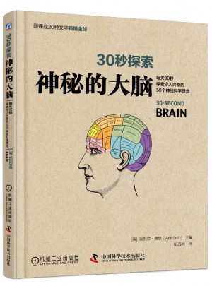 30秒探索：神秘的大脑图书