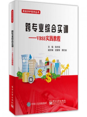 跨专业综合实训：VBSE实践教程