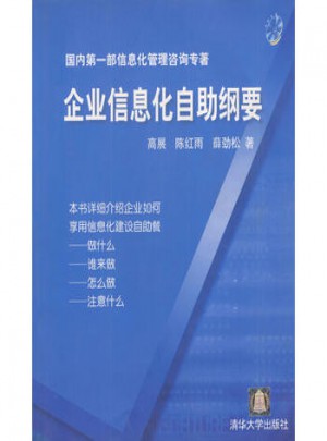 企业信息化自助纲要