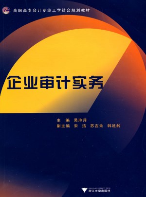 企业审计实务图书