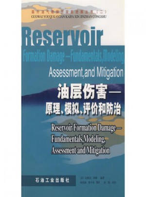 油层伤害：原理、模拟、评价和防治