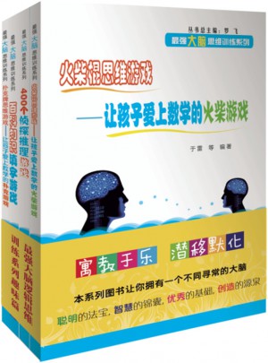 最强大脑逻辑思维训练系列趣味篇（共4册)