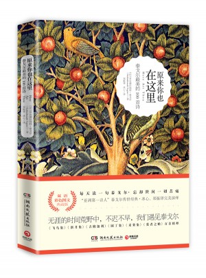 原来你也在这里