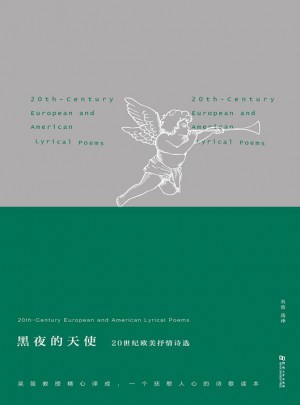 黑夜的天使：20世纪欧美抒情诗选