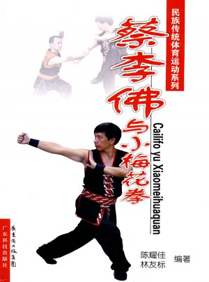 蔡李佛与小梅花拳