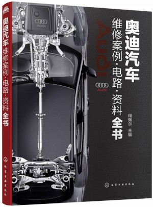 奥迪汽车维修案例·电路·资料全书