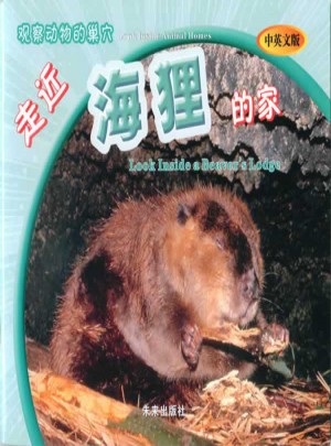 观察动物的巢穴：走近海狸的家图书