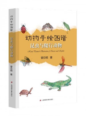 动物手绘图谱·昆虫与爬行动物
