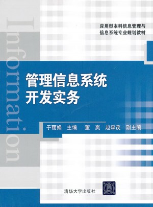 管理信息系统开发实务