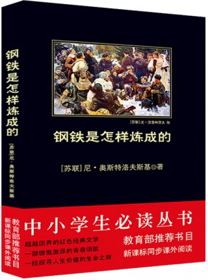 钢铁是怎样炼成的