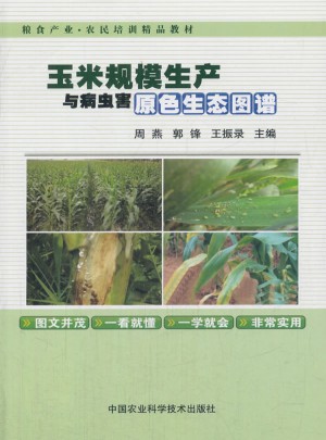 玉米规模生产与病虫害原色生态图谱