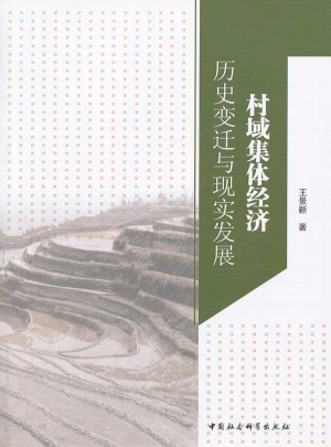 村域集体经济：历史变迁与现实发展