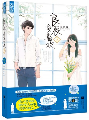 良辰多喜欢2图书