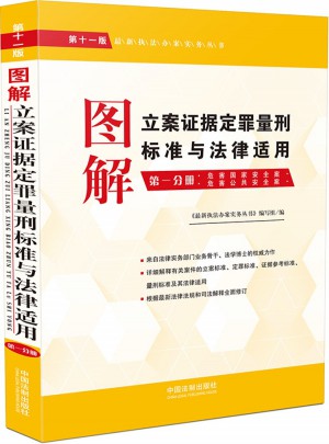 图解立案证据定罪量刑标准与法律适用（第十一版，及时分册）