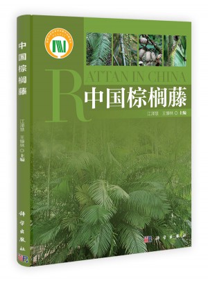 中国棕榈藤图书