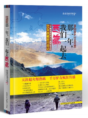 梦回故乡，行走天堂：那一年，我们一起去西藏图书