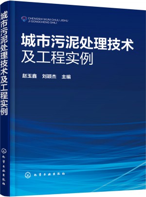 城市污泥处理技术及工程实例