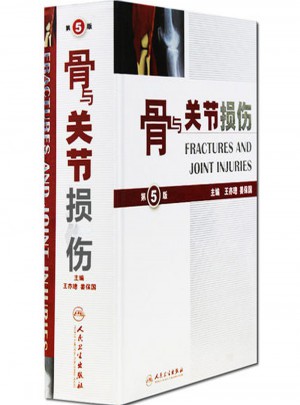 骨与关节损伤(第5版)